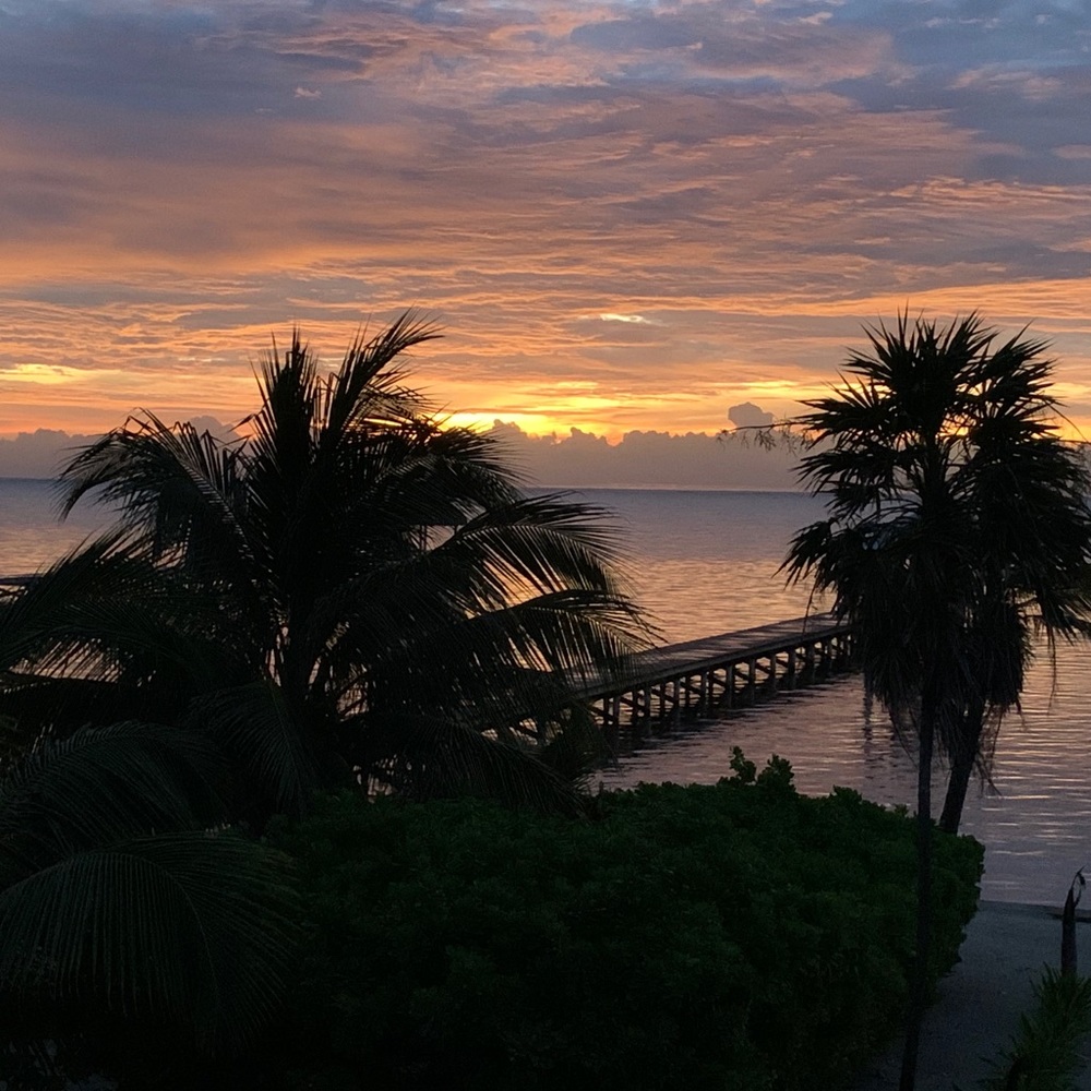 Meet your Posher, Cynthia